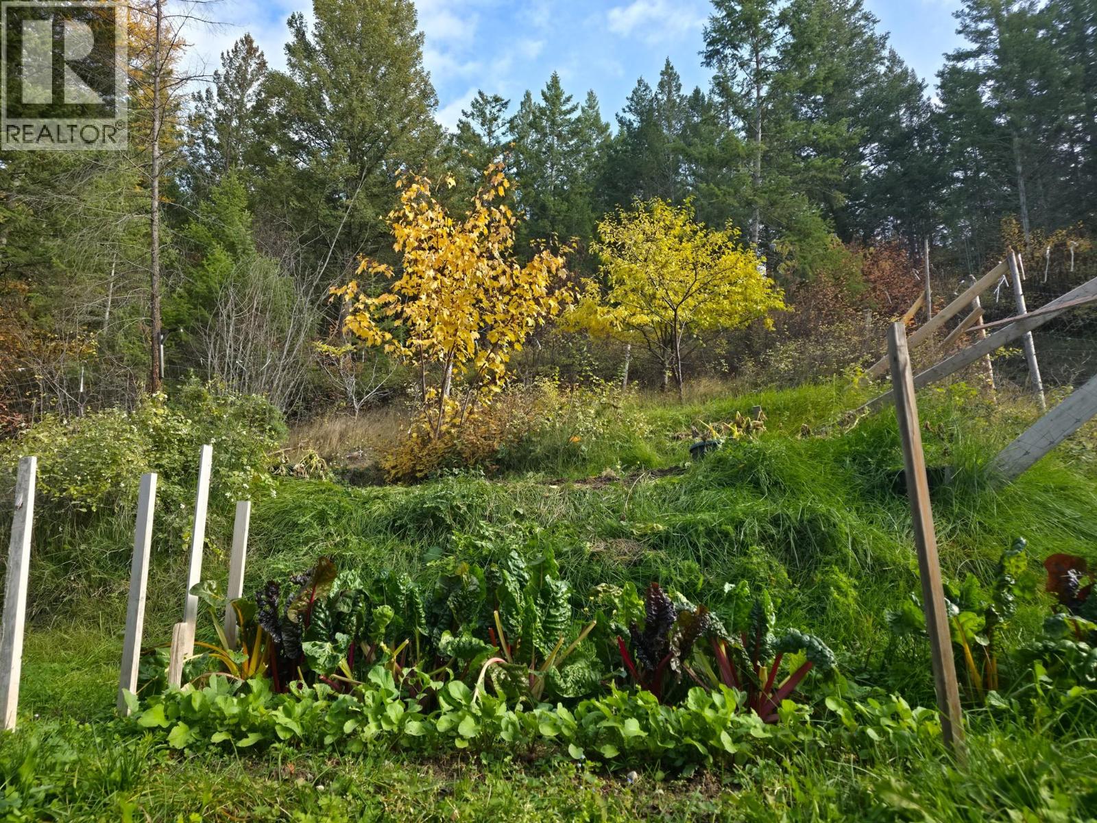 3650 PHILLIPS Road - 4