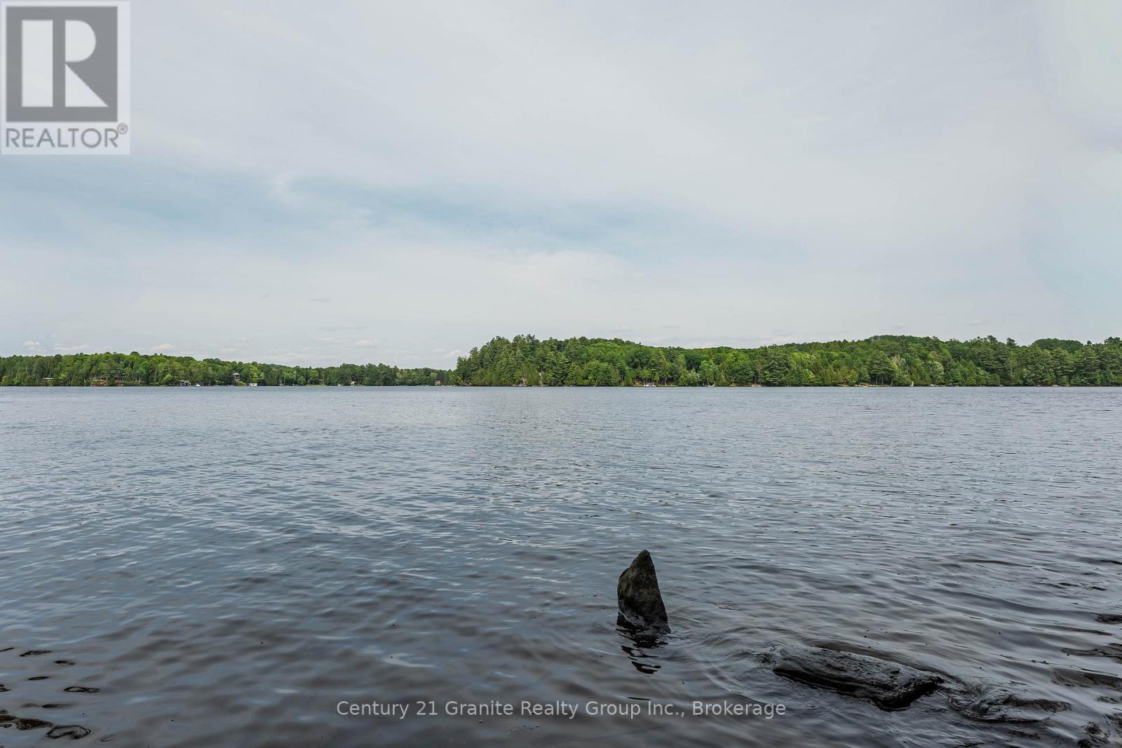 1283 WONDERLAND ROAD - 45