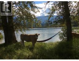 8572 Yellowhead Highway S, Little Fort, BC V0E2C0 Photo 71