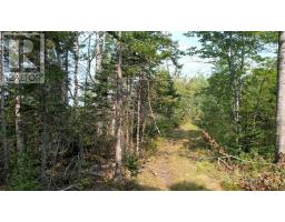 24-4 Highway 321 Highway, Roslin, NS B0M1P0 Photo 14