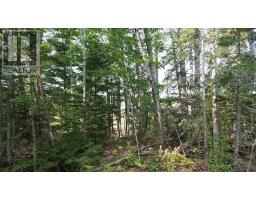24-3 Highway 321 Highway, Roslin, NS B0M1P0 Photo 15