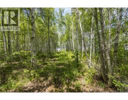 30 Beau Domaine Court, Dieppe, NB E1A9H5 Photo 33