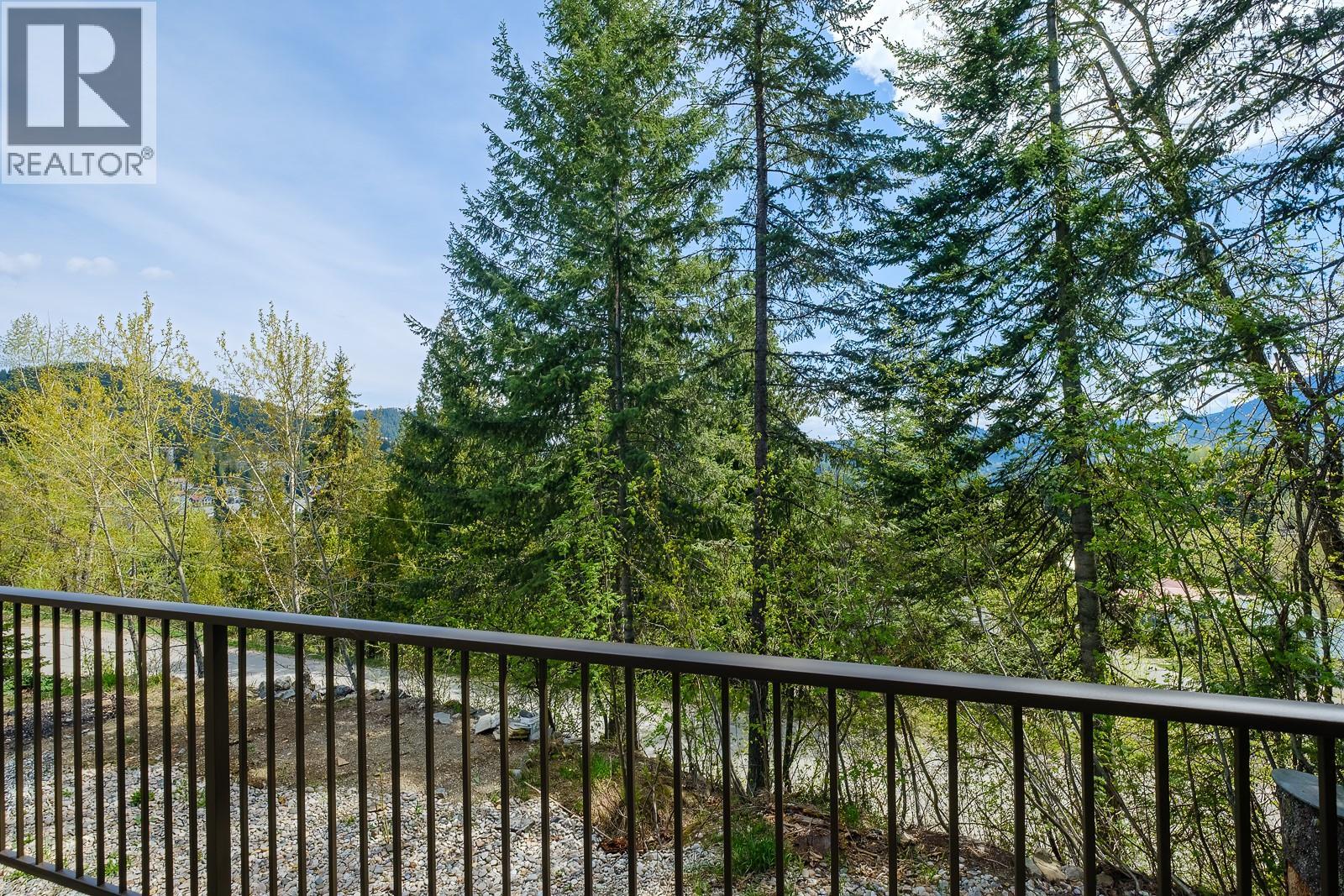 1285 Black Bear Drive - 59