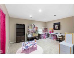 20032 131 Av Nw, Edmonton, AB T5S0E2 Photo 46