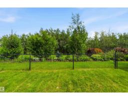20032 131 Av Nw, Edmonton, AB T5S0E2 Photo 62
