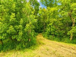 0 Old Bog Road, Lorette, MB R0A0Y0 Photo 13