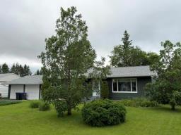 Office - 118 Mckenzie Street S, Shoal Lake, MB R0J1Z0 Photo 10