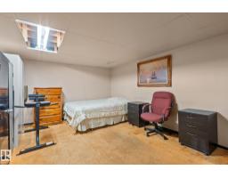 18126 98 Av Nw, Edmonton, AB T5T3H6 Photo 49