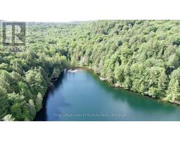 0 Island Lake Wao Island, Kearney, ON P0A1M0 Photo 7