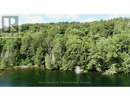0 Island Lake Wao Island, Kearney, ON P0A1M0 Photo 9