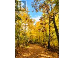 813 - 6916 County Road #18 Road S, Alnwick/haldimand, ON K0K2X0 Photo 22