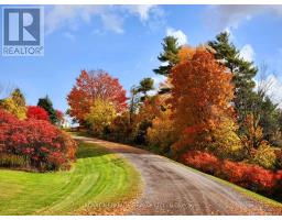 813 - 6916 County Road #18 Road S, Alnwick/haldimand, ON K0K2X0 Photo 24