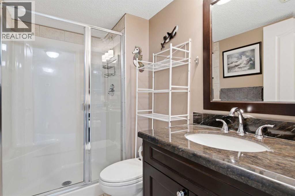 3pc bath lower level