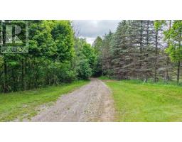 14877 The Gore Road, Caledon, ON L7E0X1 Photo 7