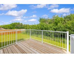 17431 7 St Ne, Edmonton, AB T5Y4E7 Photo 59
