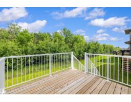 17431 7 St Ne, Edmonton, AB T5Y4E7 Photo 60