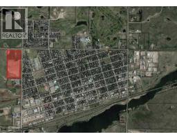605 Palliser Trail, Hanna, AB T0J1P0 Photo 16