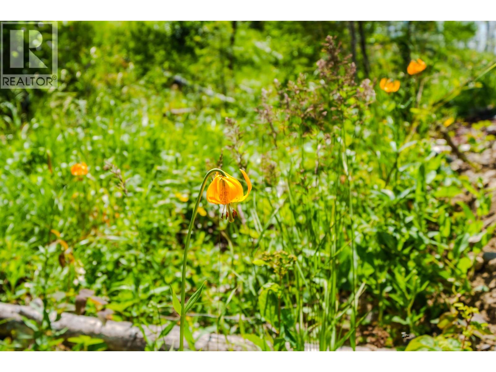 6168 DEKA HEIGHTS ROAD, Deka Lake / Sulphurous / Hathaway Lakes