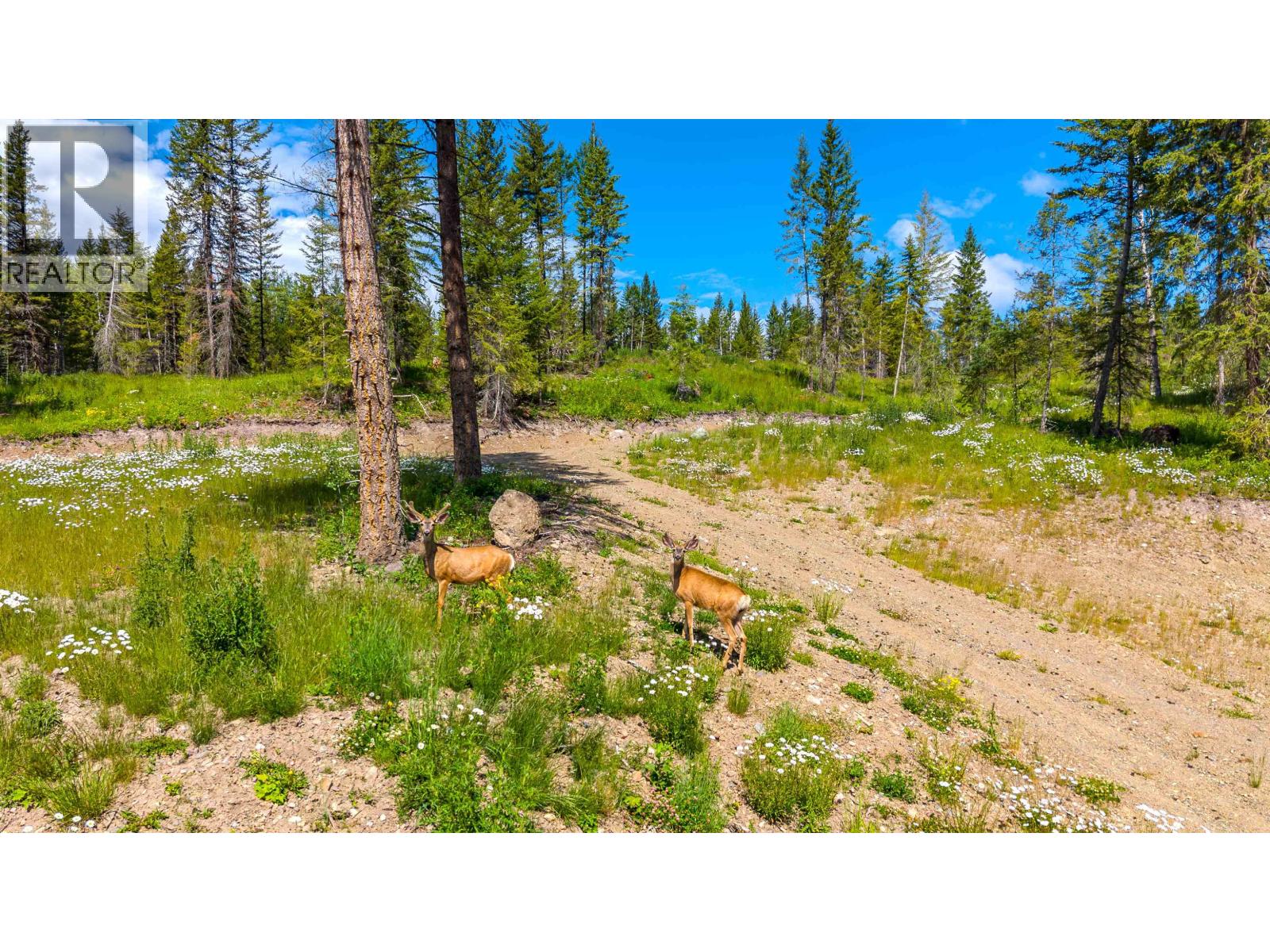 6168 DEKA HEIGHTS ROAD, Deka Lake / Sulphurous / Hathaway Lakes