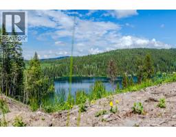 6168 Deka Heights Road, Deka Lake / Sulphurous / Hathaway Lakes, BC V0K1X3 Photo 13