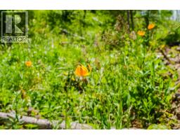 6168 Deka Heights Road, Deka Lake / Sulphurous / Hathaway Lakes, BC V0K1X3 Photo 15