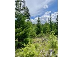 6168 Deka Heights Road, Deka Lake / Sulphurous / Hathaway Lakes, BC V0K1X3 Photo 24