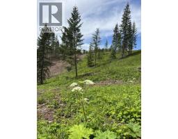 6168 Deka Heights Road, Deka Lake / Sulphurous / Hathaway Lakes, BC V0K1X3 Photo 25
