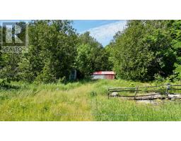 43 Bartley Drive, Northern Bruce Peninsula, ON N0H1Z0 Photo 14