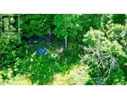 43 Bartley Drive, Northern Bruce Peninsula, ON N0H1Z0 Photo 16