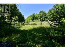 43 Bartley Drive, Northern Bruce Peninsula, ON N0H1Z0 Photo 41