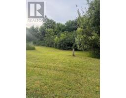 29 Depot Street, Adjala Tosorontio, ON L0M1M0 Photo 7