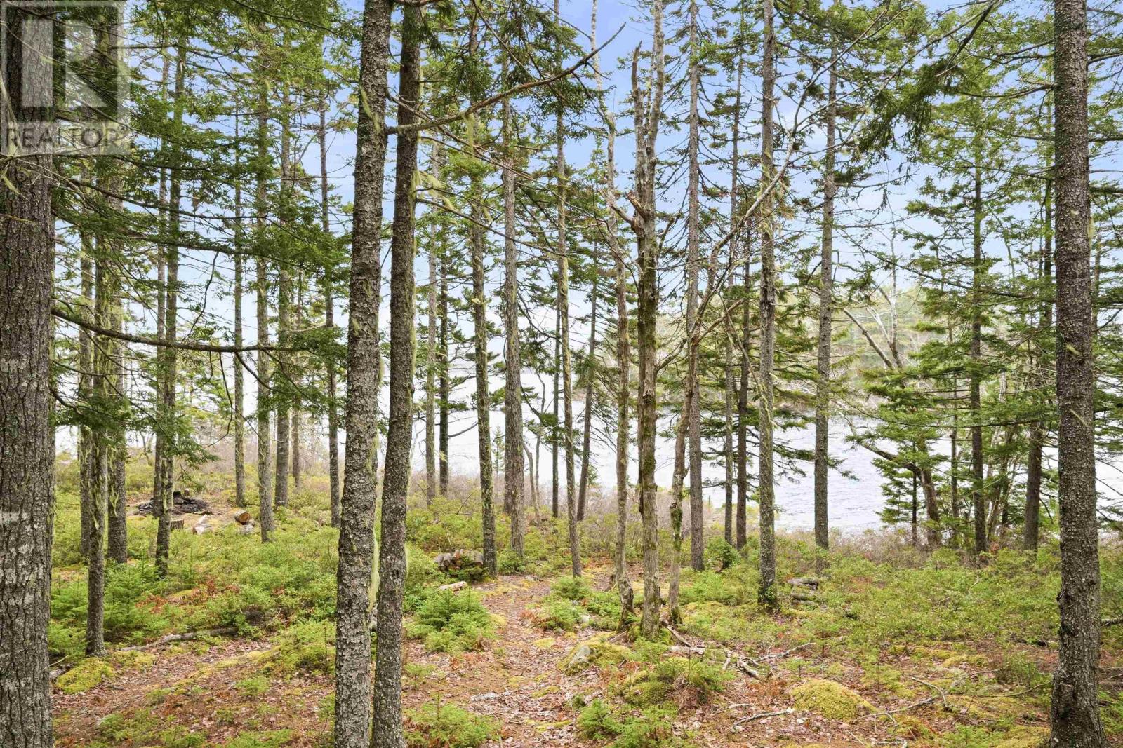 442 Narrows Road - 48