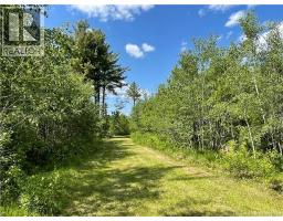 Route 11, Saint Margarets, NB E1N5C5 Photo 6