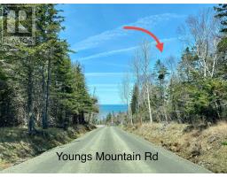 Shore Road, Youngs Cove, NS B0S1L0 Photo 6