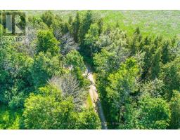 36 Spen Haven Road, Kawartha Lakes, ON K9V0K3 Photo 7