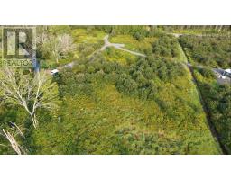3316 Thomson Road, Hansford, NS B0M1P0 Photo 19