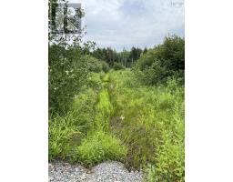 3316 Thomson Road, Hansford, NS B0M1P0 Photo 10