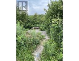 3316 Thomson Road, Hansford, NS B0M1P0 Photo 12