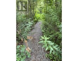 3316 Thomson Road, Hansford, NS B0M1P0 Photo 18