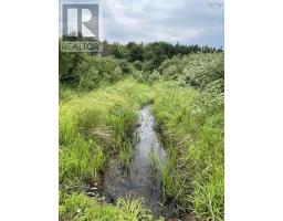 3316 Thomson Road, Hansford, NS B0M1P0 Photo 7