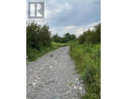 3316 Thomson Road, Hansford, NS B0M1P0 Photo 8