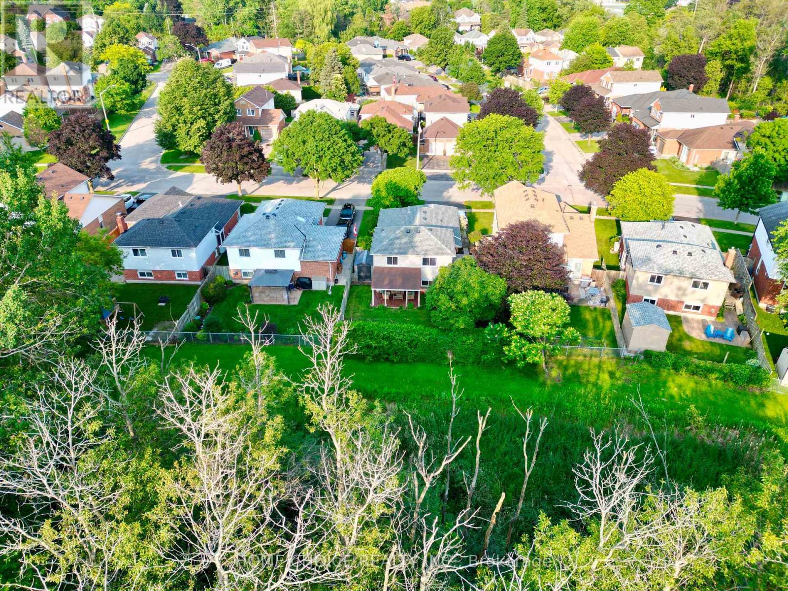 34 GOLDPINE AVENUE - 36
