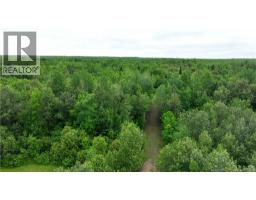 404 Halcomb Rd, Halcomb, NB E9E1W8 Photo 26