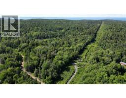 Land Stanley Brook, Grand Manan, NB E5G1L8 Photo 8