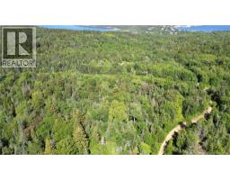 Land Stanley Brook, Grand Manan, NB E5G1L8 Photo 10
