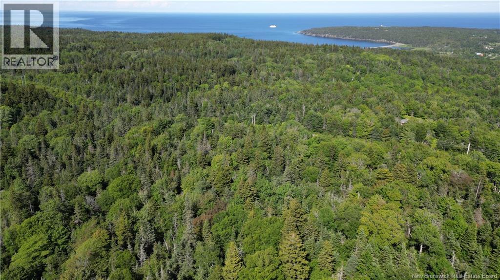 Land Stanley Brook, Grand Manan — photo 3