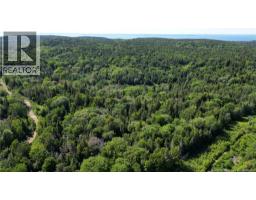 Land Stanley Brook, Grand Manan, NB E5G1L8 Photo 7