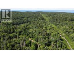 Land Stanley Brook, Grand Manan, NB E5G1L8 Photo 11