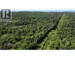 Land Stanley Brook, Grand Manan, NB E5G1L8 Photo 6