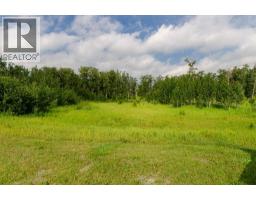 40518 Highway 821, Tees, AB T0C2N0 Photo 7